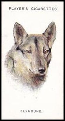 12 Elkhound